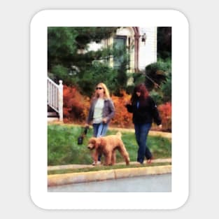 Dogs - Women Walking a Dog Sticker